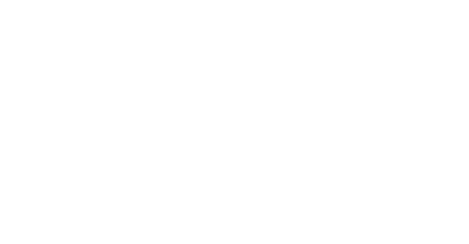 Narrabri Public school